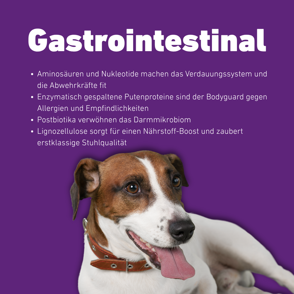VetLine Trockenfutter mit Peptiden für Hunde - Gastrointestinal-Hundebedarf-Wildfang Petcare GmbH-