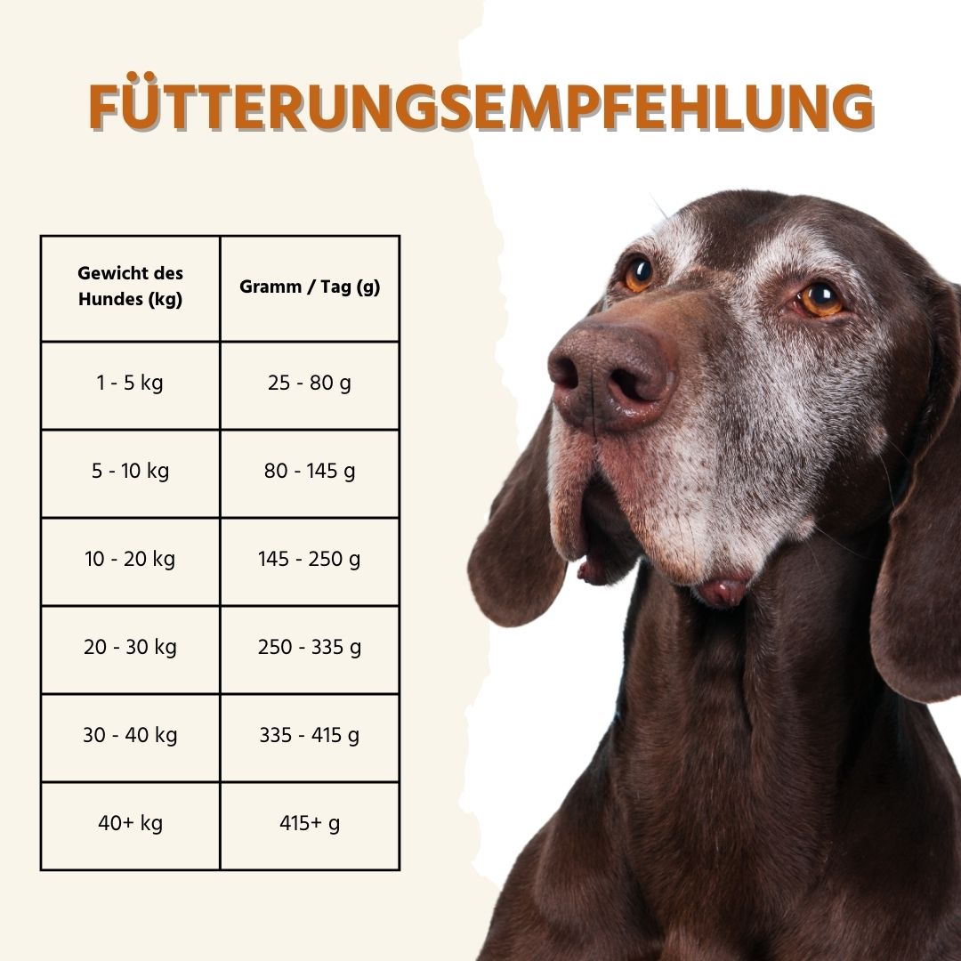 Sensitive Trockenfutter mit Truthahn - getreidefrei-Hundefutter-Wildfang-