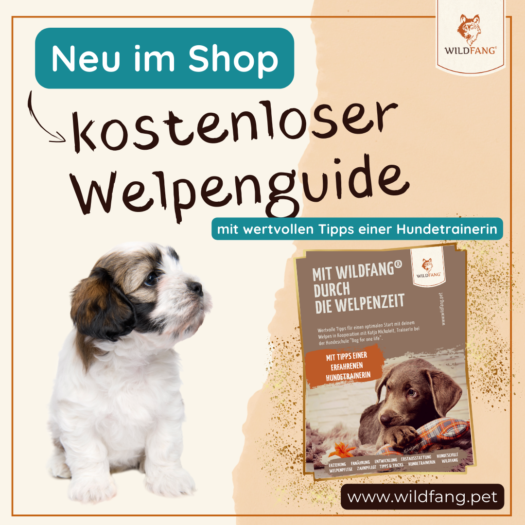 Welpenguide_2-Wildfang.pet