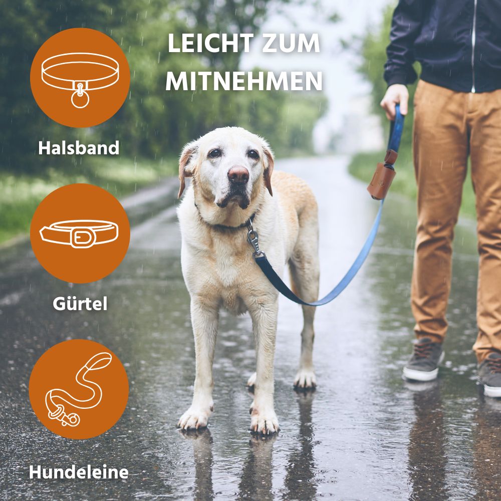 Kotbeutel Spender aus Leder-Hundespielzeug-Wildfang-