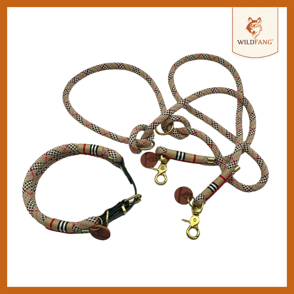 Hundehalsband „Parkgeflüster“-Hundespielzeug-Wildfang-