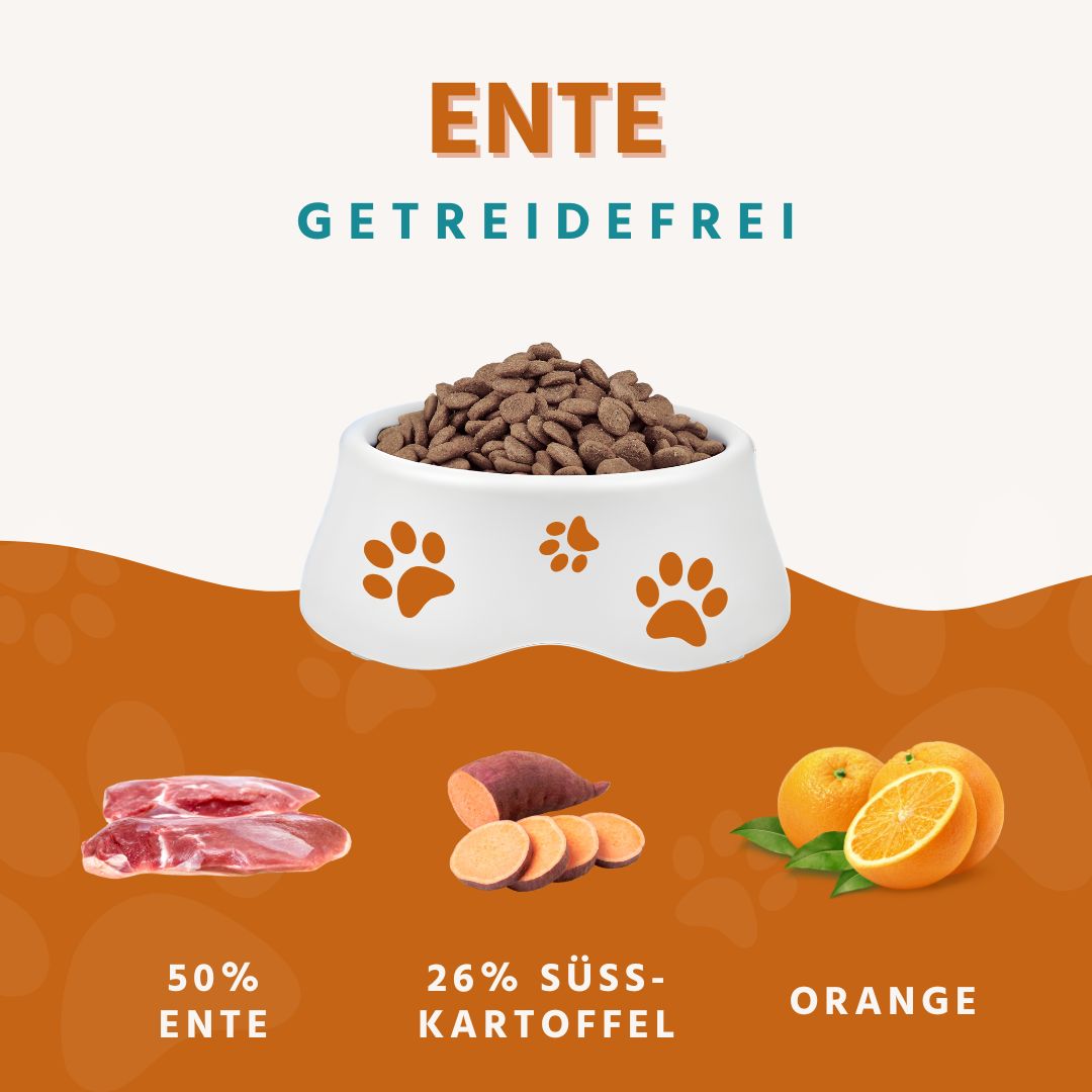 Adult Trockenfutter Sparpack 2 x 2 kg mit Ente - getreidefrei-Hundefutter-Wildfang-