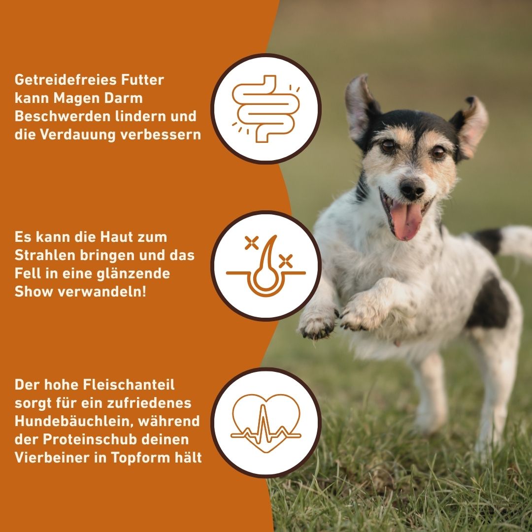 Adult Trockenfutter Sparpack 2 x 2 kg mit Ente - getreidefrei-Hundefutter-Wildfang-