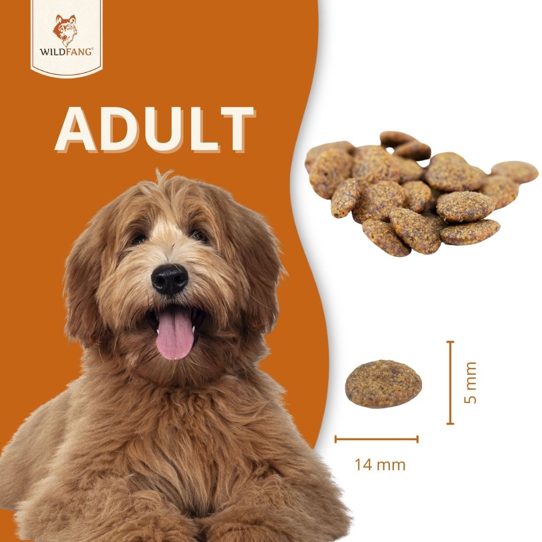 Adult Trockenfutter Sparpack 2 x 2 kg mit Huhn & Kräuter - getreidefrei-Hundefutter-Wildfang-