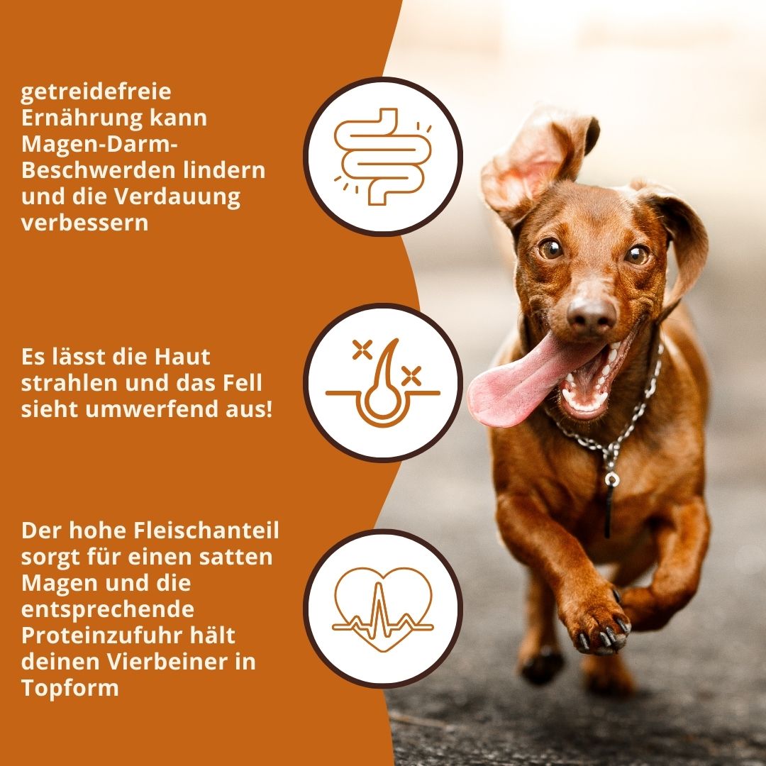 Adult Trockenfutter Sparpack 2 x 2 kg mit Huhn & Kräuter - getreidefrei-Hundefutter-Wildfang-