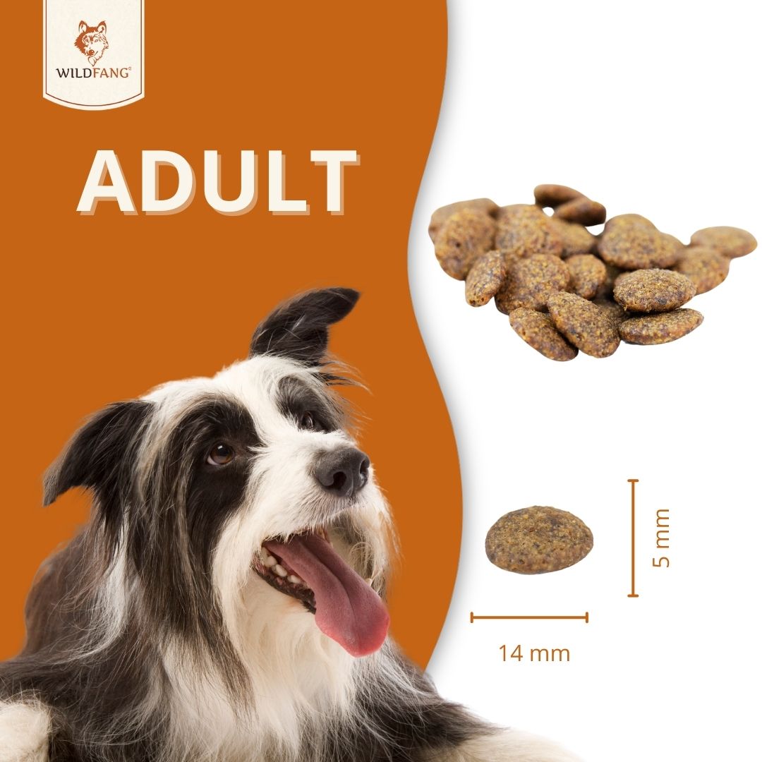 Adult Trockenfutter Sparpack 2 x 2 kg mit Kaninchen- getreidefrei-Hundefutter-Wildfang-