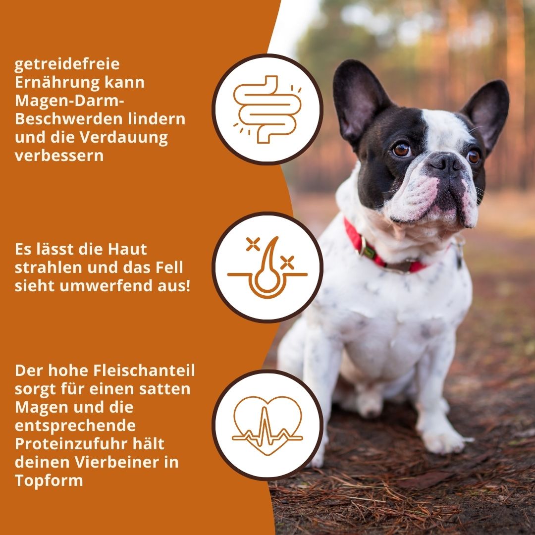 Adult Trockenfutter Sparpack 2 x 2 kg mit Kaninchen- getreidefrei-Hundefutter-Wildfang-