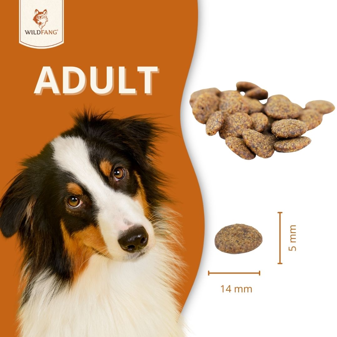 Adult Trockenfutter Sparpack 2 x 2 kg mit Thunfisch - getreidefrei-Hundefutter-Wildfang-