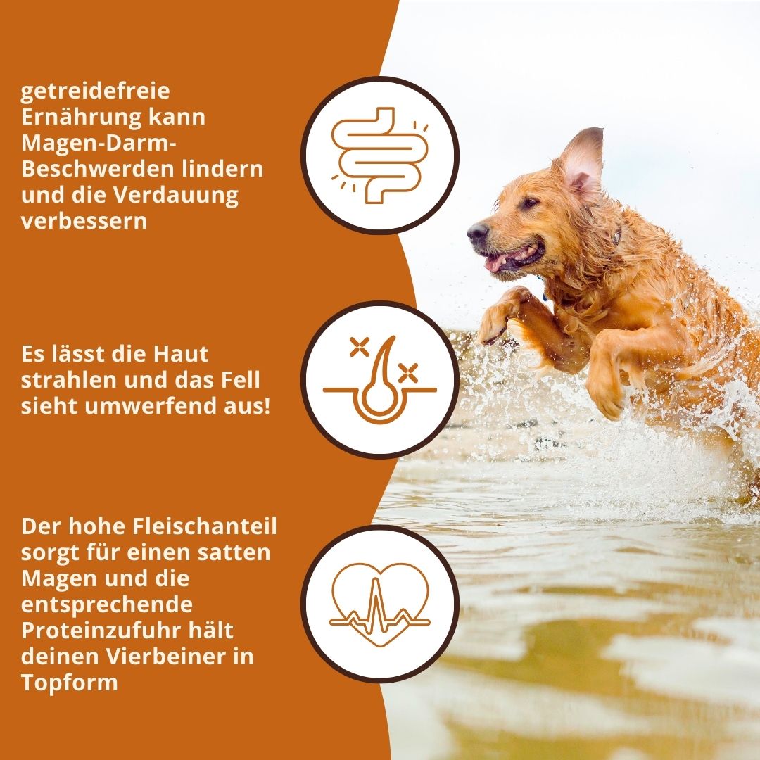 Adult Trockenfutter Sparpack 2 x 2 kg mit Thunfisch - getreidefrei-Hundefutter-Wildfang-