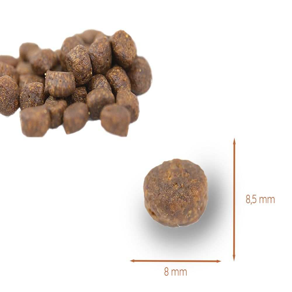 Welpen Futterpaket Huhn - getreidefrei-Hundefutter-Wildfang-