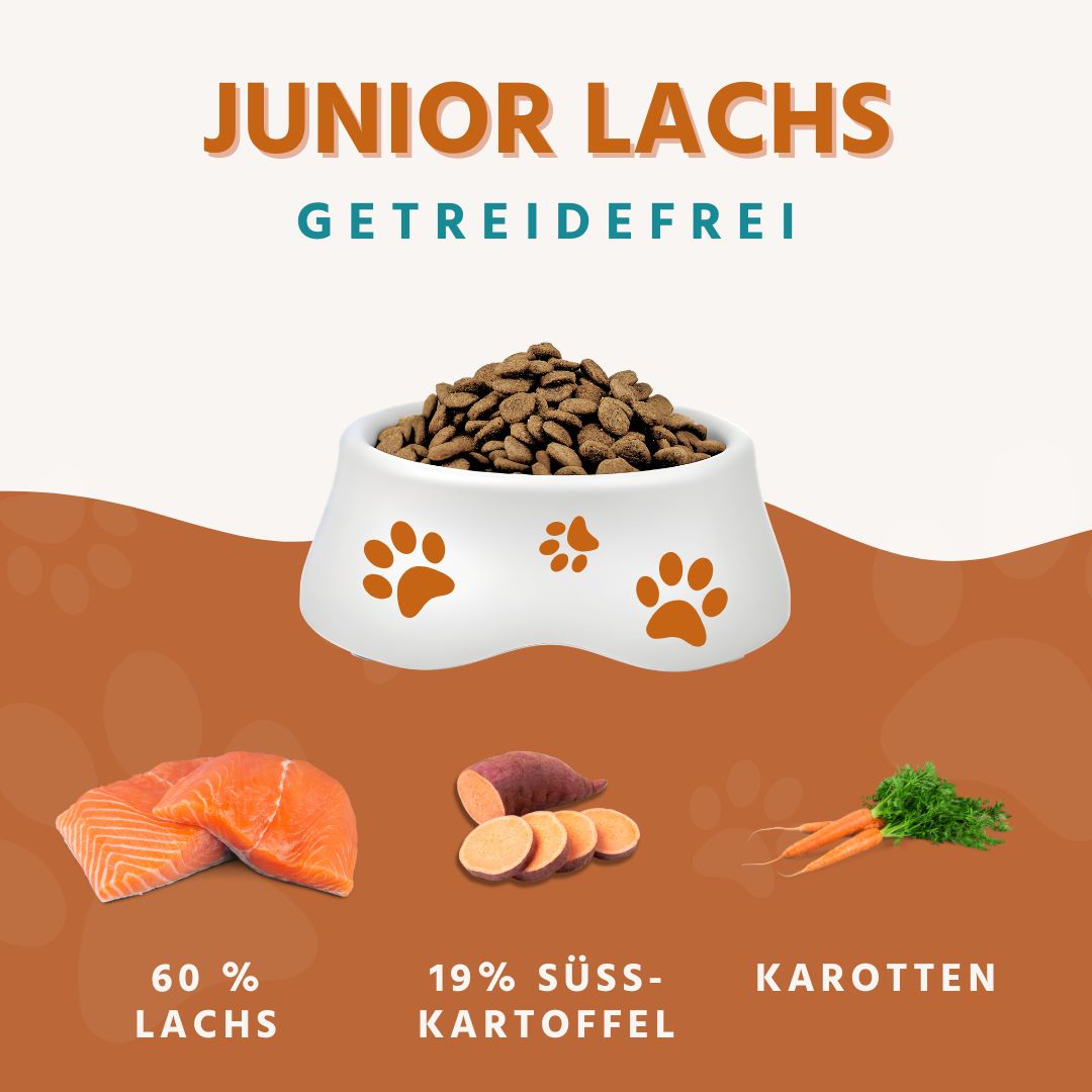 Junior Trockenfutter Sparpack 2 x 2 kg mit Lachs - getreidefrei - für Welpen-Hundefutter-Wildfang-
