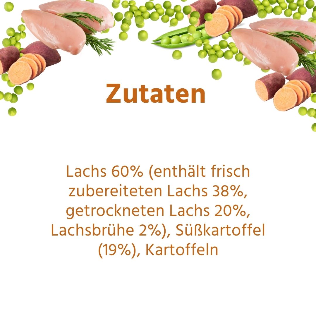 Junior Trockenfutter Sparpack 2 x 2 kg mit Lachs - getreidefrei - für Welpen-Hundefutter-Wildfang-