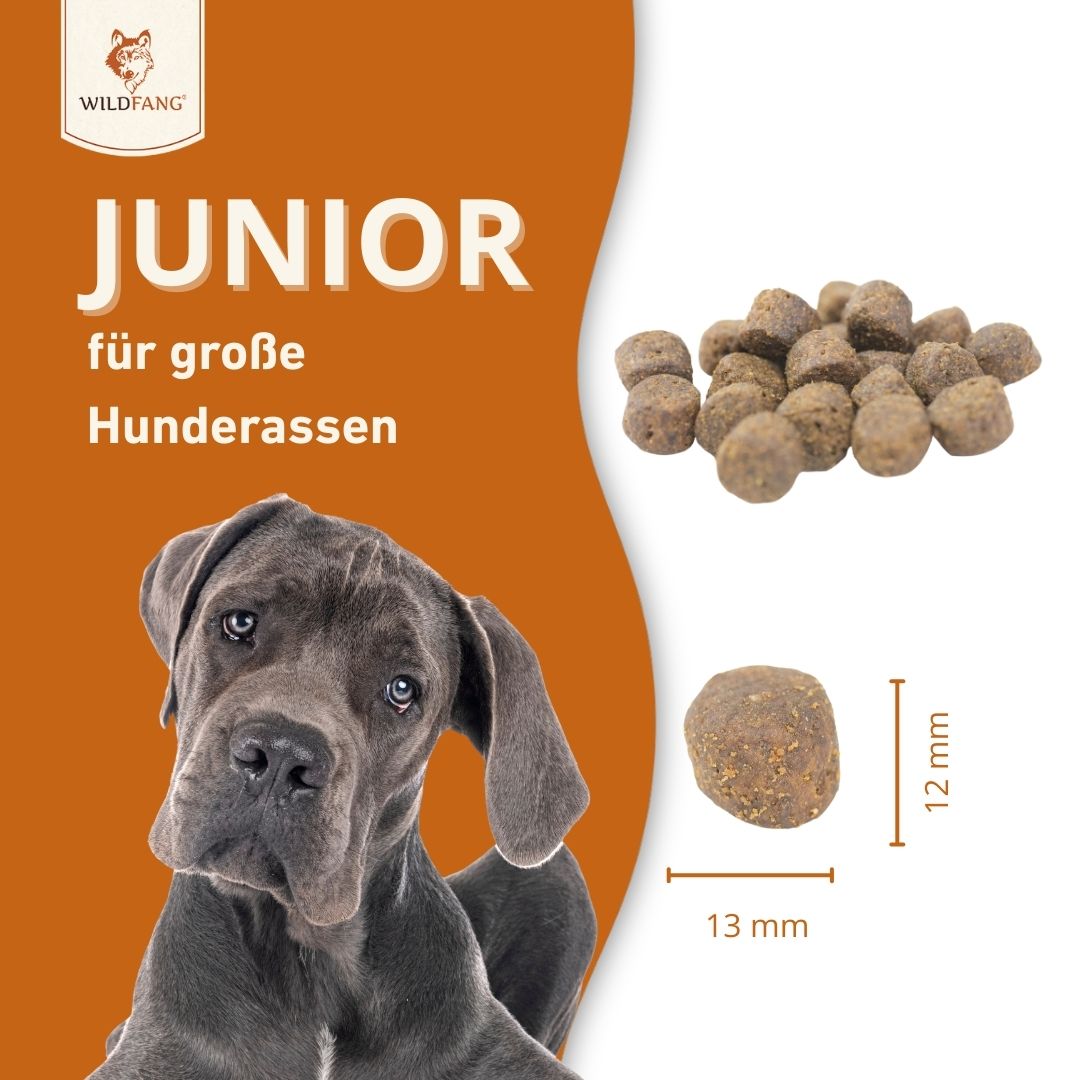 Junior Trockenfutter Sparpack 2 x 2 kg mit Lachs - getreidefrei - für Welpen-Hundefutter-Wildfang-