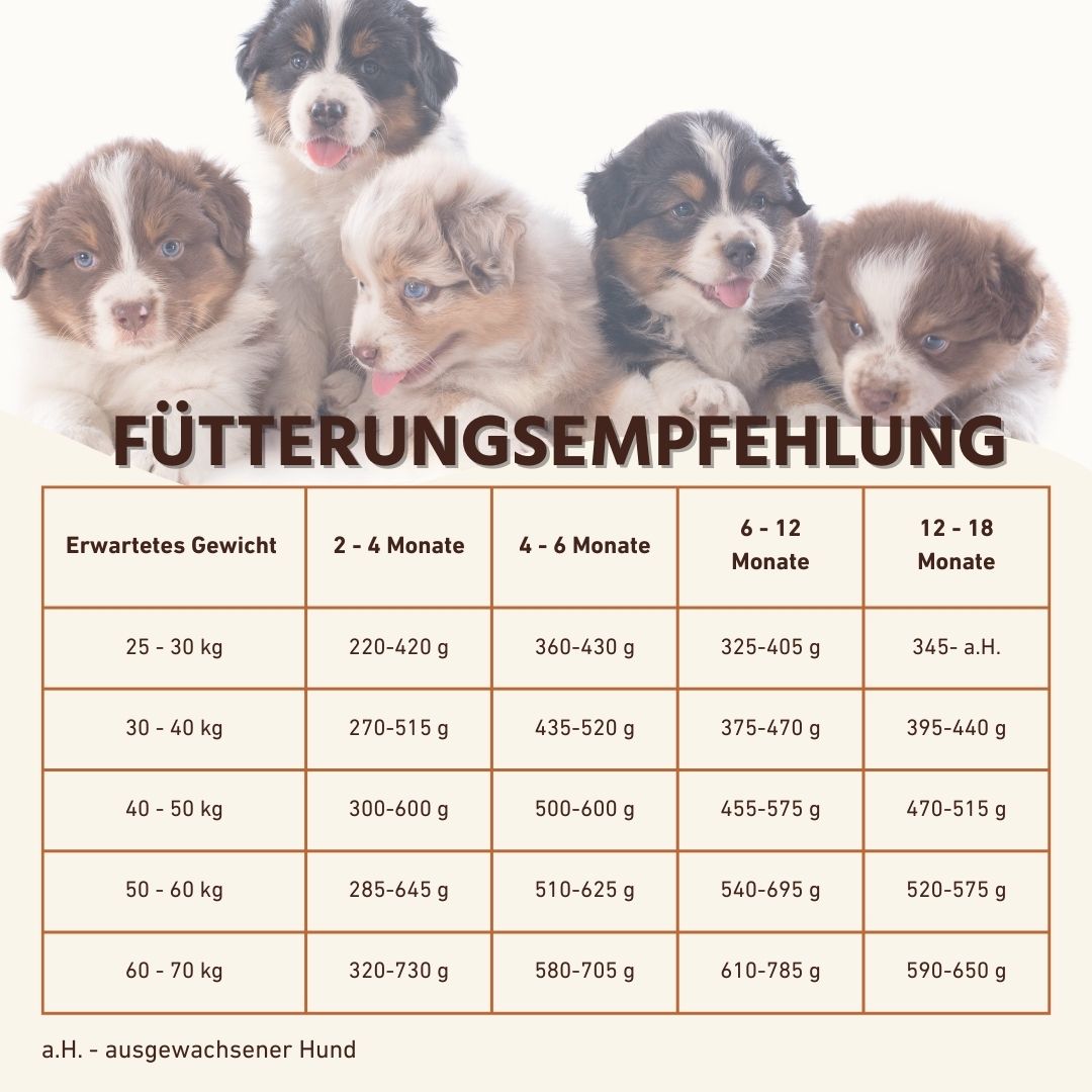 Junior Trockenfutter Sparpack 2 x 2 kg mit Lachs - getreidefrei - für Welpen-Hundefutter-Wildfang-