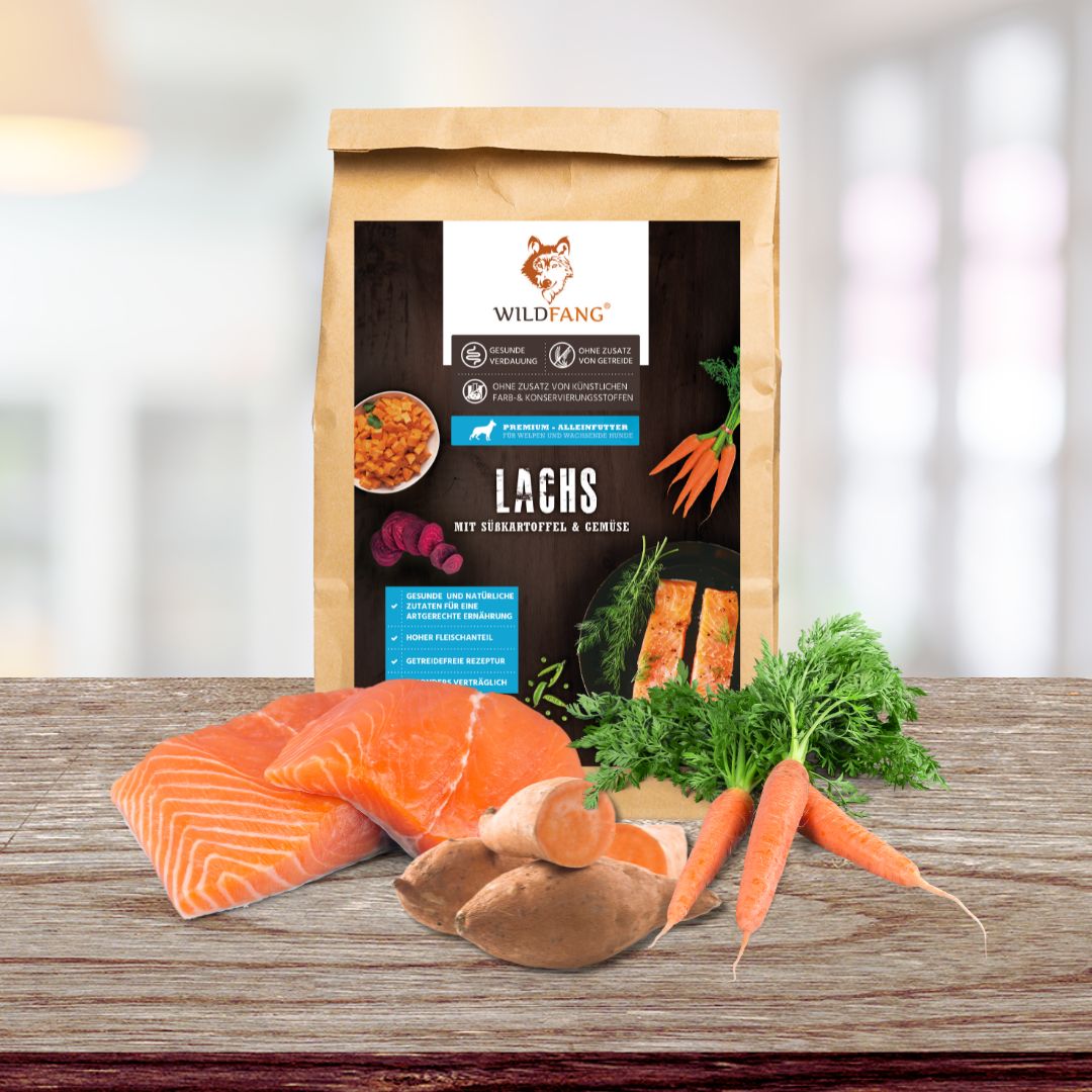 Junior Trockenfutter Sparpack 2 x 2 kg mit Lachs - getreidefrei - für Welpen-Hundefutter-Wildfang-