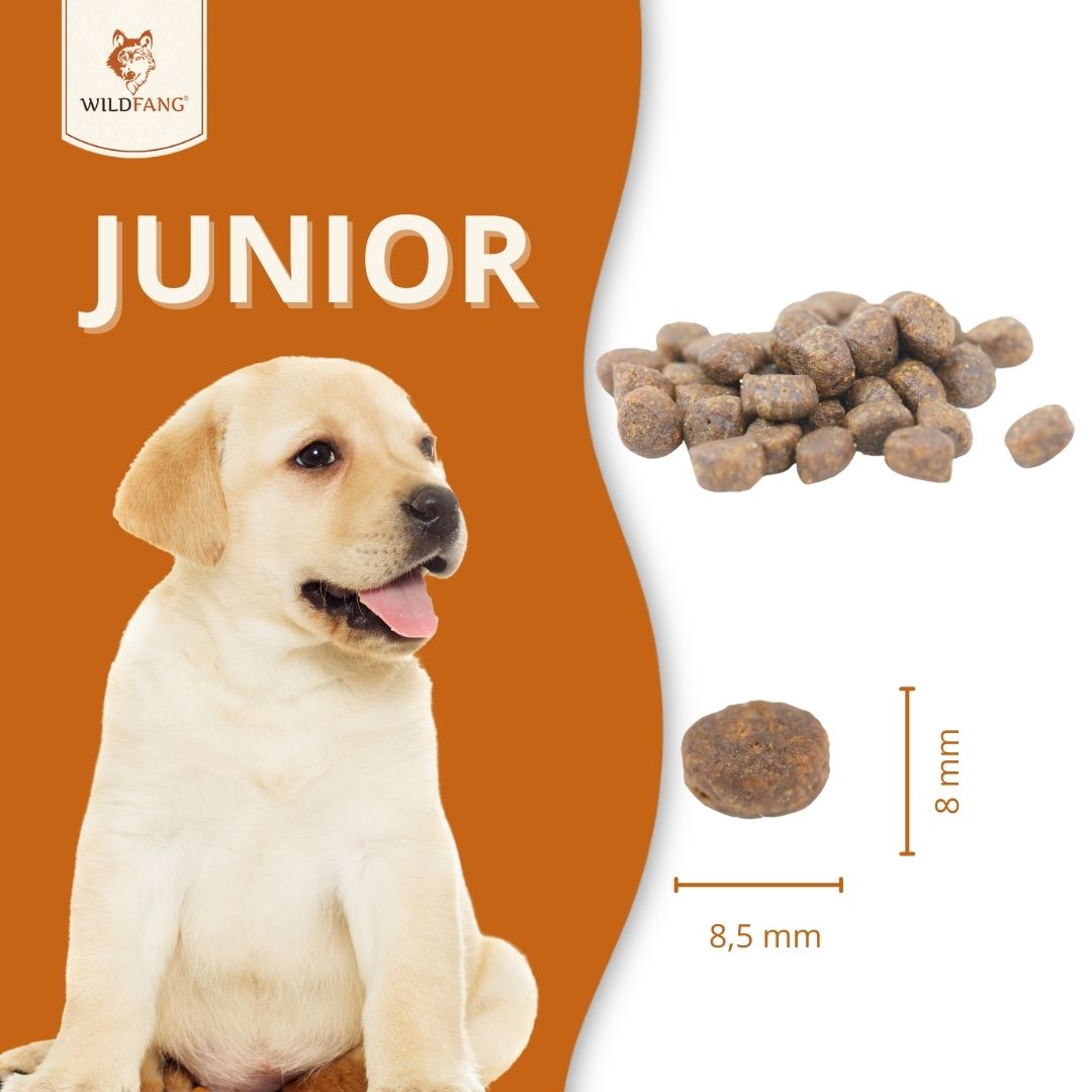Junior Trockenfutter mit Huhn für Welpen - getreidefrei-Hundefutter-Wildfang-