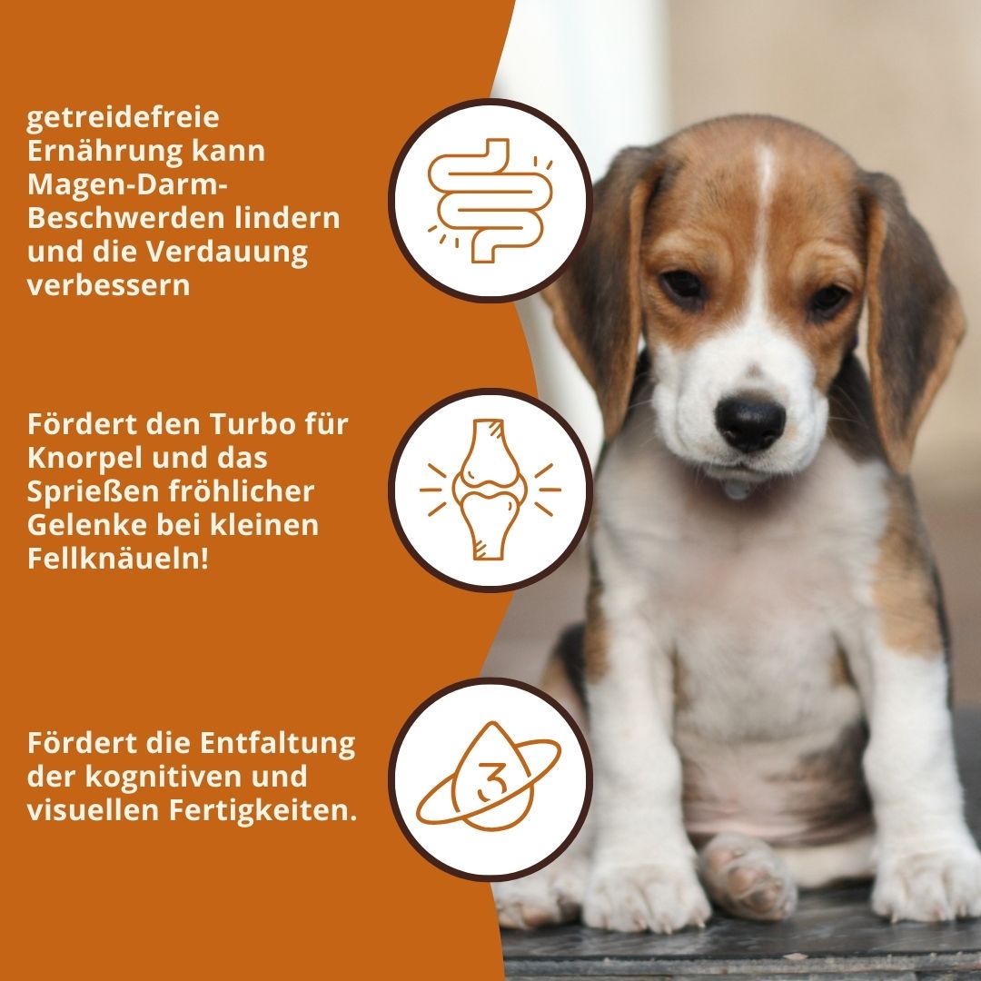 Junior Trockenfutter mit Huhn für Welpen - getreidefrei-Hundefutter-Wildfang-