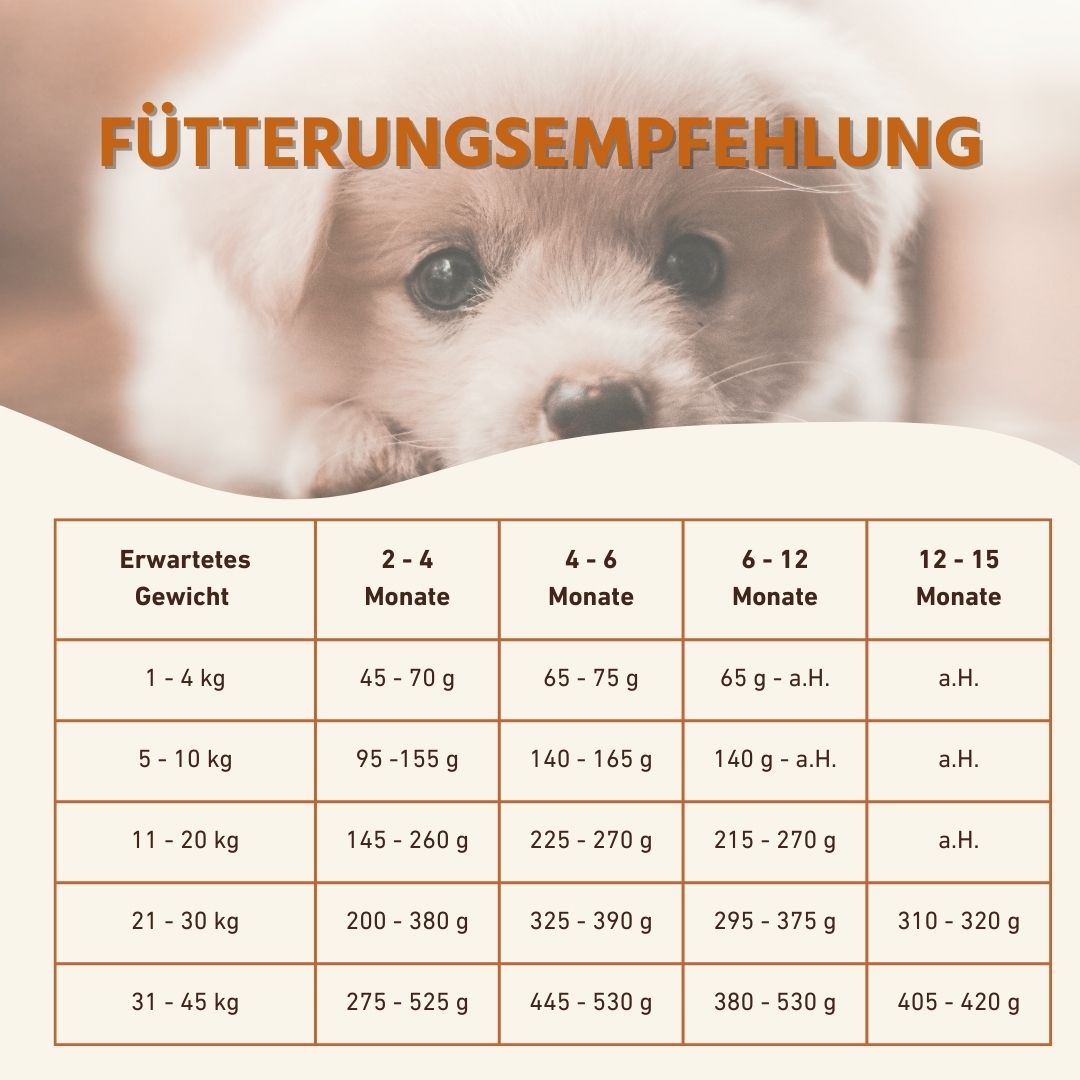 Junior Trockenfutter mit Huhn für Welpen - getreidefrei-Hundefutter-Wildfang-