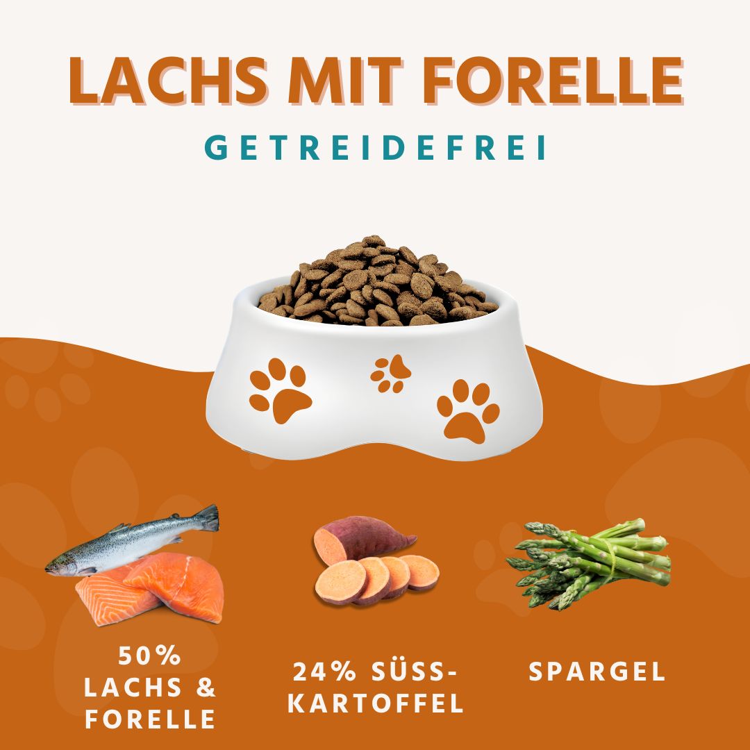 Maxi Adult Trockenfutter Sparpack 2 x 2 kg mit Lachs und Forelle - getreidefrei-Hundefutter-Wildfang-