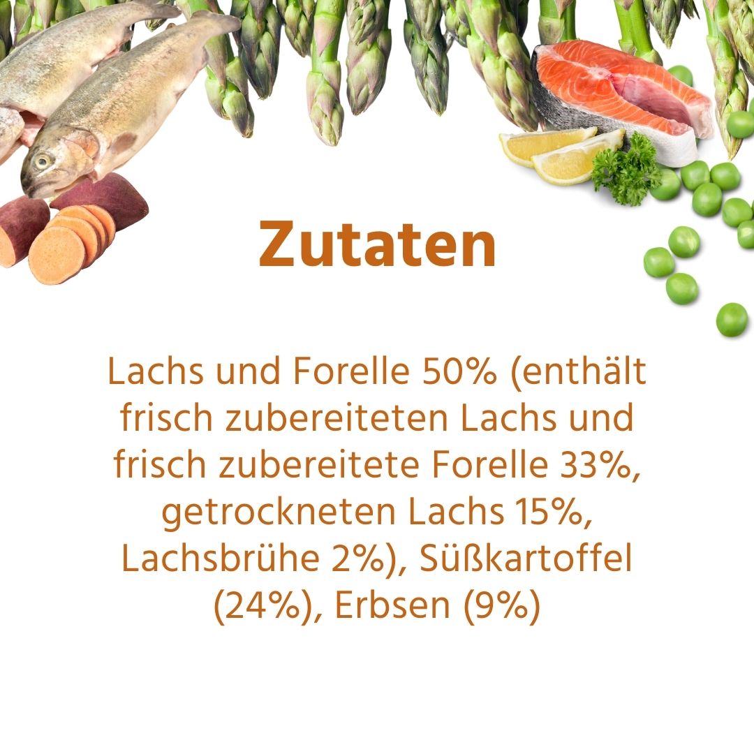 Maxi Adult Trockenfutter Sparpack 2 x 2 kg mit Lachs und Forelle - getreidefrei-Hundefutter-Wildfang-