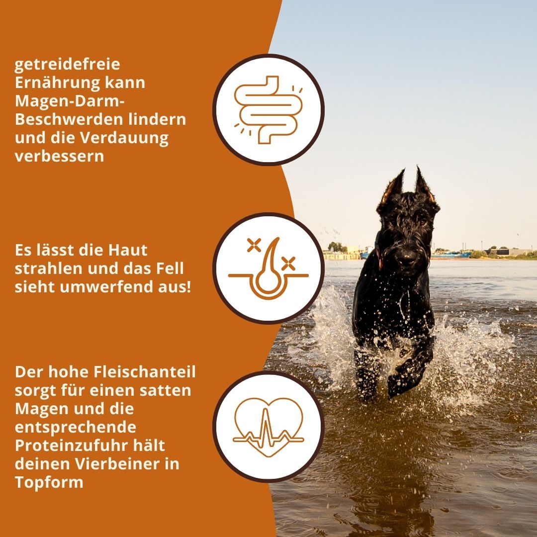 Maxi Adult Trockenfutter Sparpack 2 x 2 kg mit Lachs und Forelle - getreidefrei-Hundefutter-Wildfang-