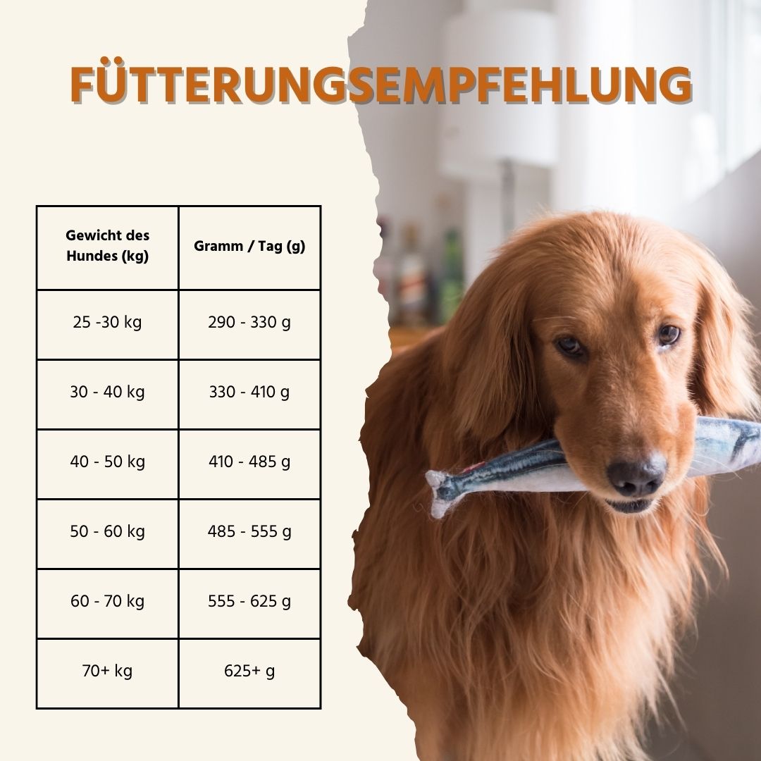 Maxi Adult Trockenfutter Sparpack 2 x 2 kg mit Lachs und Forelle - getreidefrei-Hundefutter-Wildfang-
