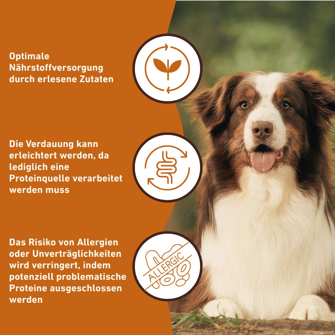 Nassfutter Pferd pur - BARF Qualität - 6er Set-Hundefutter-Wildfang-