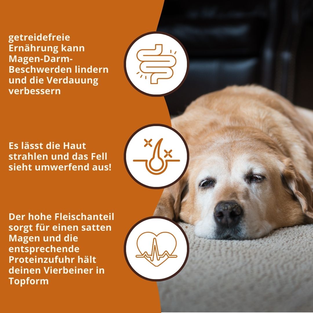 Sensitive Trockenfutter Sparpack 2 x 2 kg mit Truthahn - getreidefrei-Hundefutter-Wildfang-