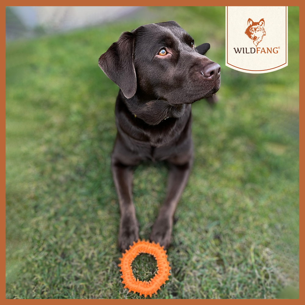 Beißring "Balou"-Hundespielzeug-Wildfang-
