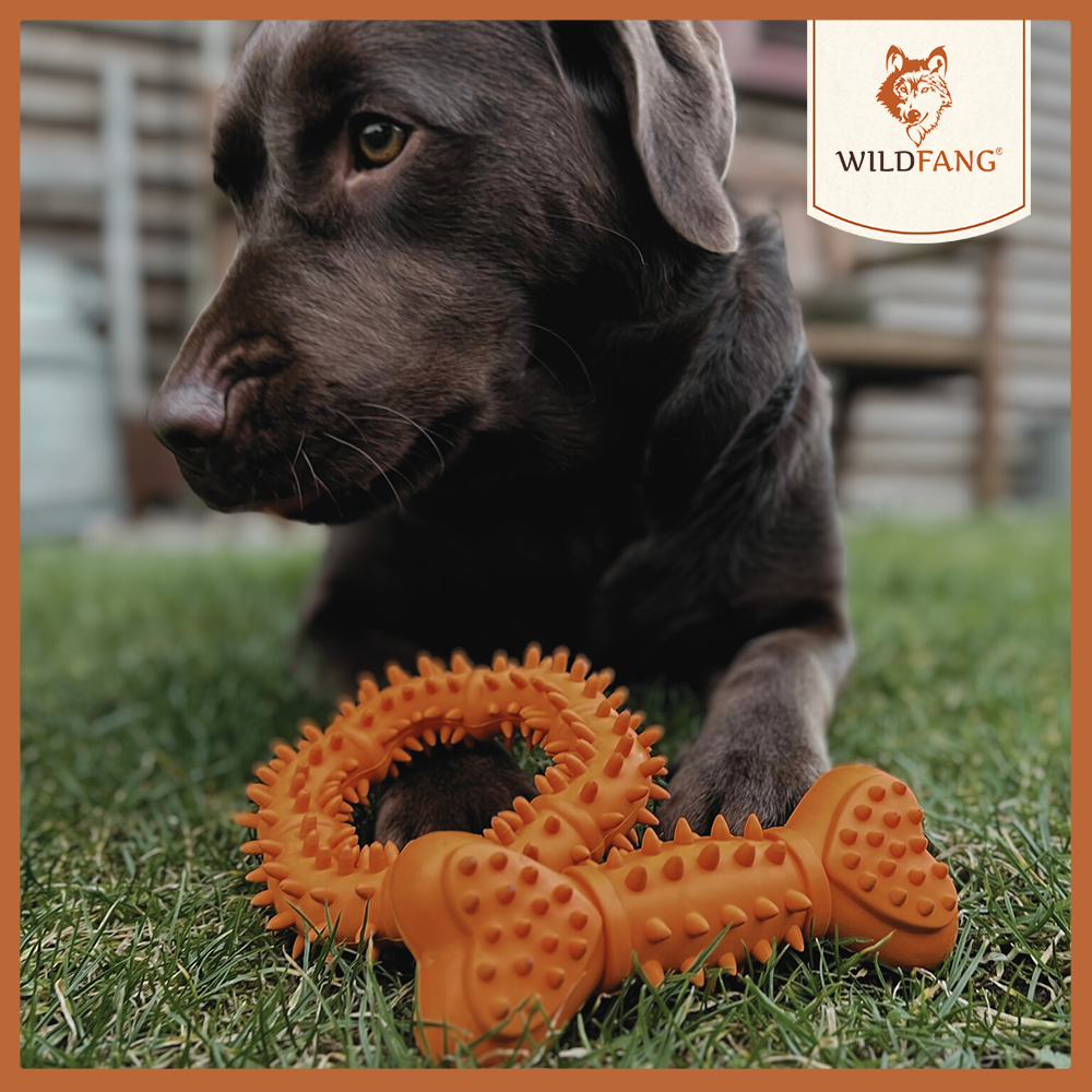 Beißring "Balou"-Hundespielzeug-Wildfang-