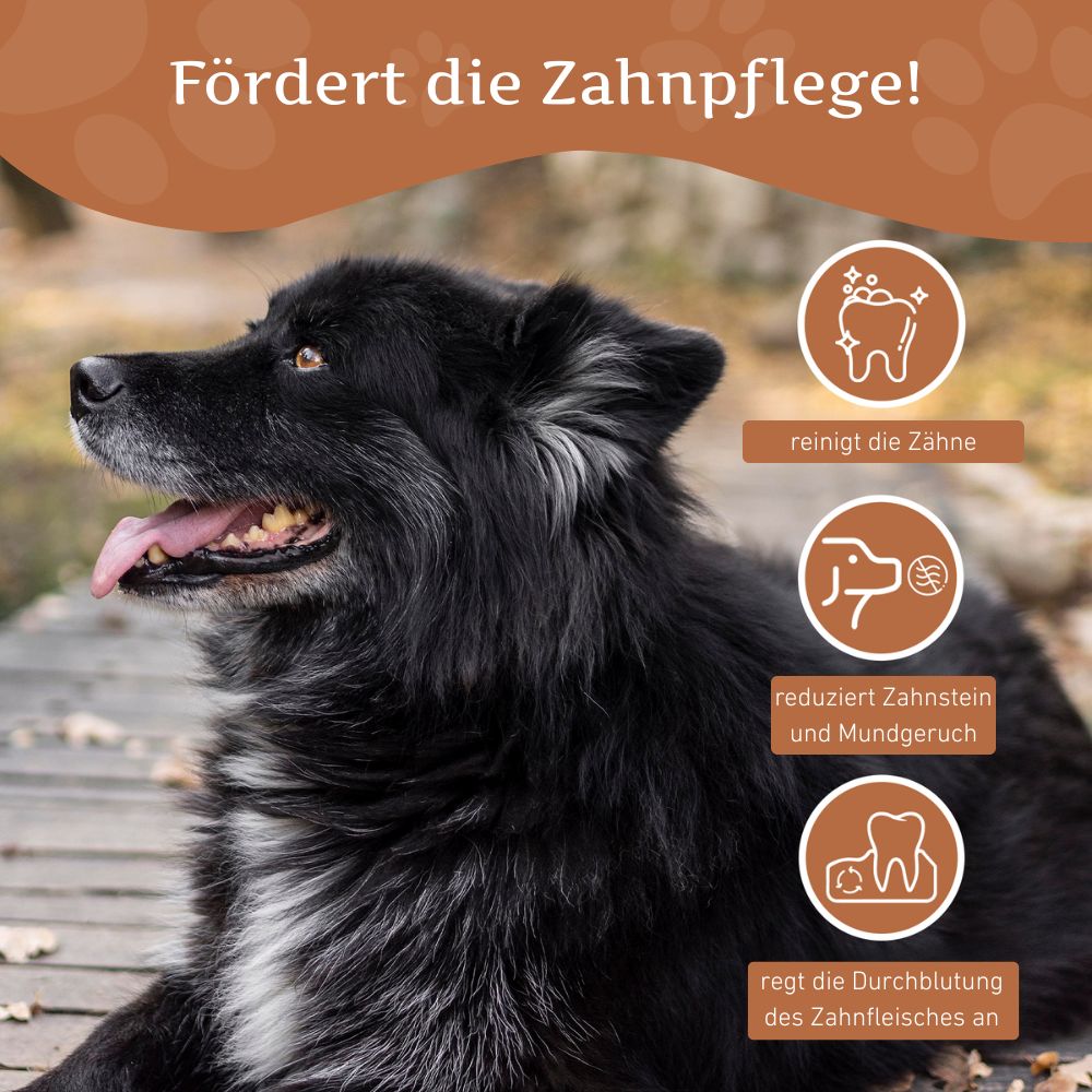 Kaffeeholz Kaustab-Hundespielzeug-Wildfang-