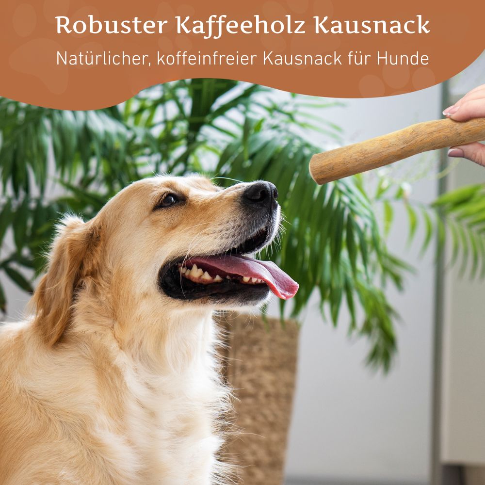 Kaffeeholz Kaustab-Hundespielzeug-Wildfang-