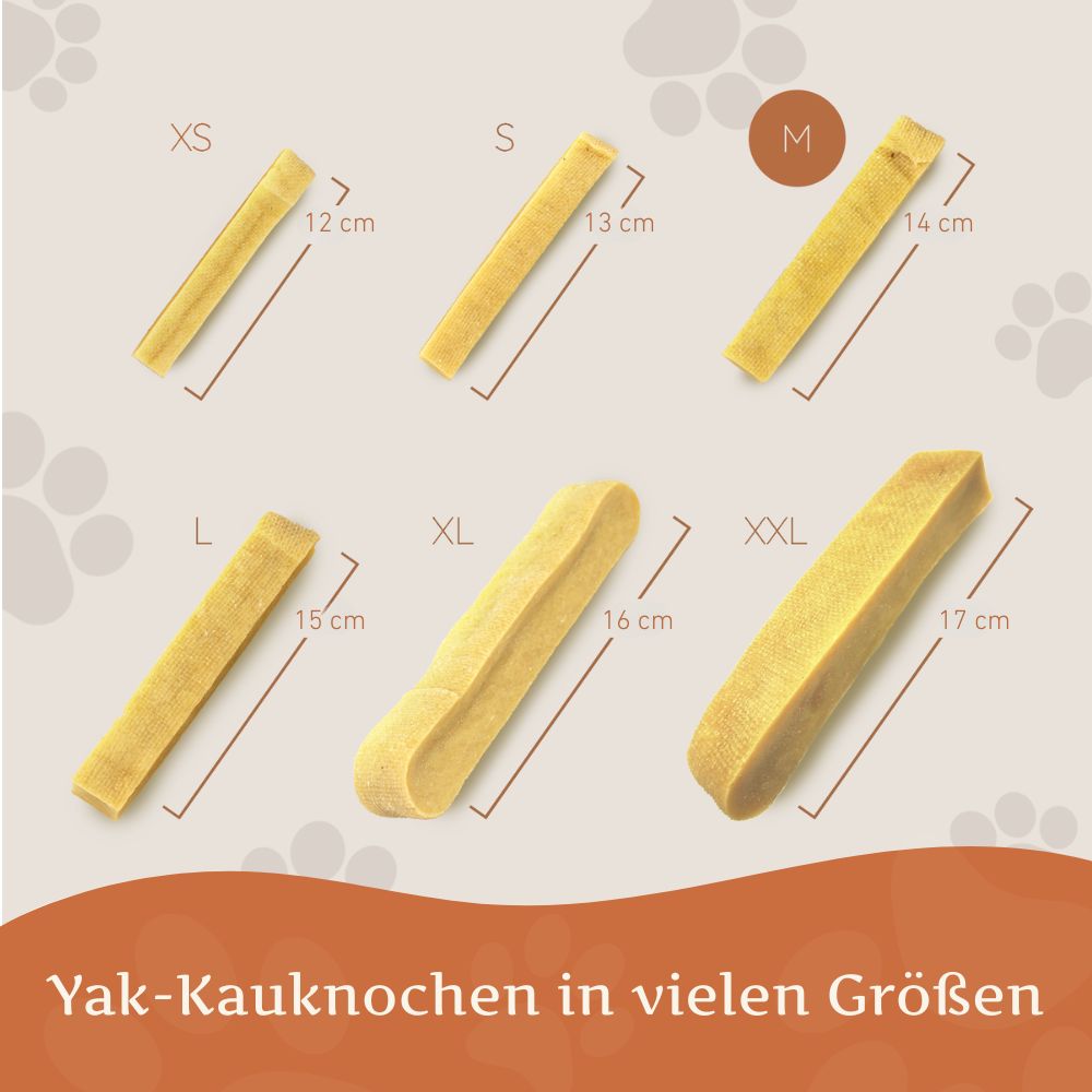 Kaukäse - Hartkäse Kaustab - 3er Set-Hundespielzeug-Wildfang-