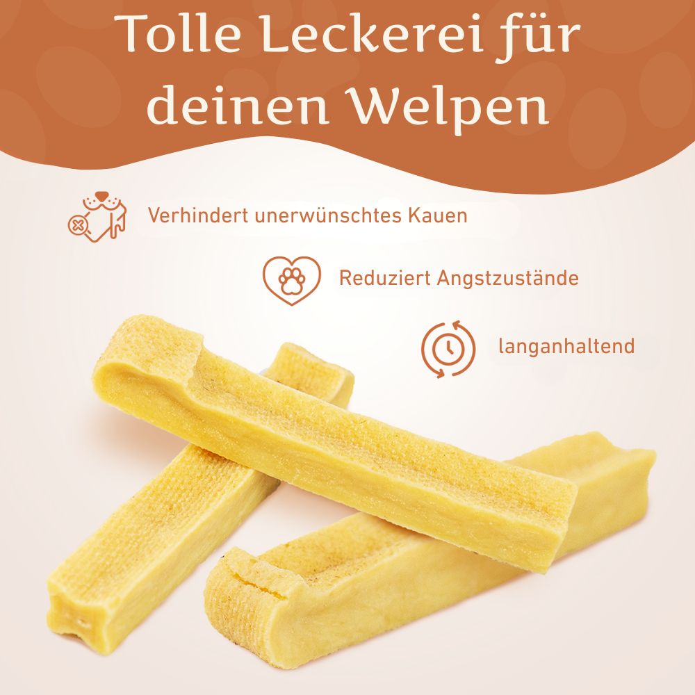 Kaukäse - Hartkäse Kaustab - 3er Set-Hundespielzeug-Wildfang-