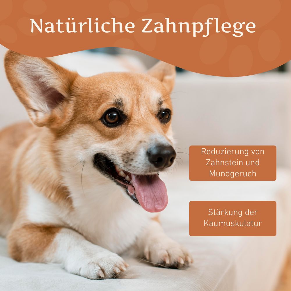 Kaukäse - Hartkäse Kaustab - 6er Set-Hundespielzeug-Wildfang-