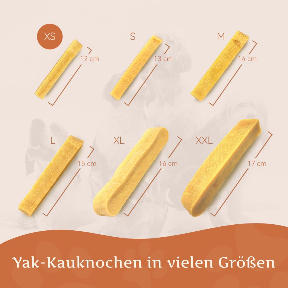 Kaukäse - Hartkäse Kaustab - 6er Set-Hundespielzeug-Wildfang-