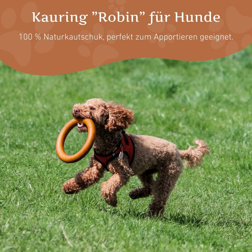 Kauspielzeug Kauring "Robin" - 100% Naturkautschuk-Hundespielzeug-Wildfang-