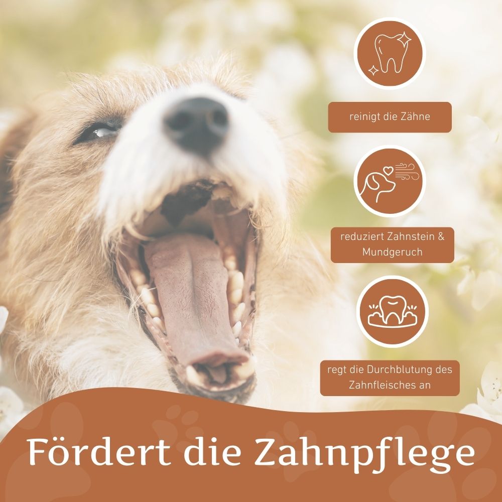 Kauspielzeug Kauring "Robin" - 100% Naturkautschuk-Hundespielzeug-Wildfang-