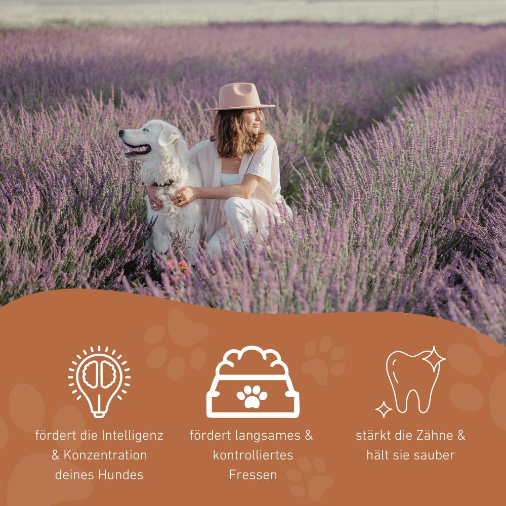 Kauspielzeug Kürbislabyrinth "Lilo" - 100% Naturkautschuk-Hundespielzeug-Wildfang-