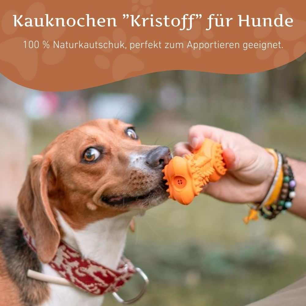 Kauspielzeug Quietschknochen "Kristoff" - 100% Naturkautschuk-Hundespielzeug-Wildfang-