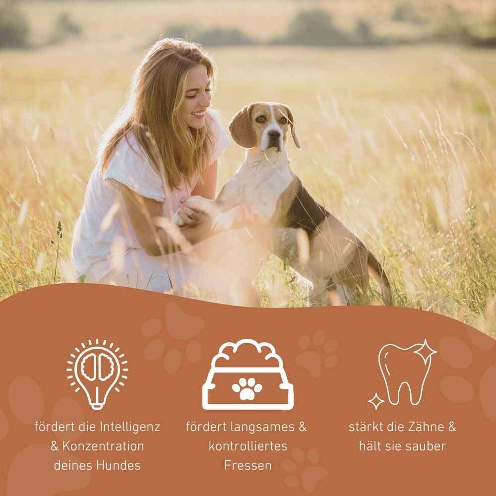 Kauspielzeug Rugbysnacker "Raya" - 100% Naturkautschuk-Hundespielzeug-Wildfang-