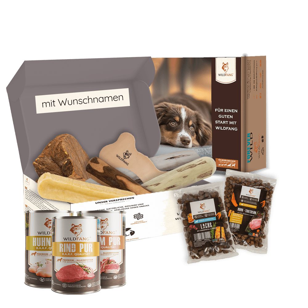 Wildfang Wunschbox Individuelle Hundesnacks & Kauartikel auswhlen Wildfang.pet Wildfang Wunschbox Individuelle Hundesnacks & Kauartikel auswhlen Wildfang.pet