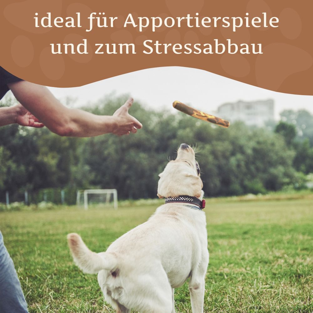 Olivenholz Kaustab-Hundespielzeug-Wildfang-