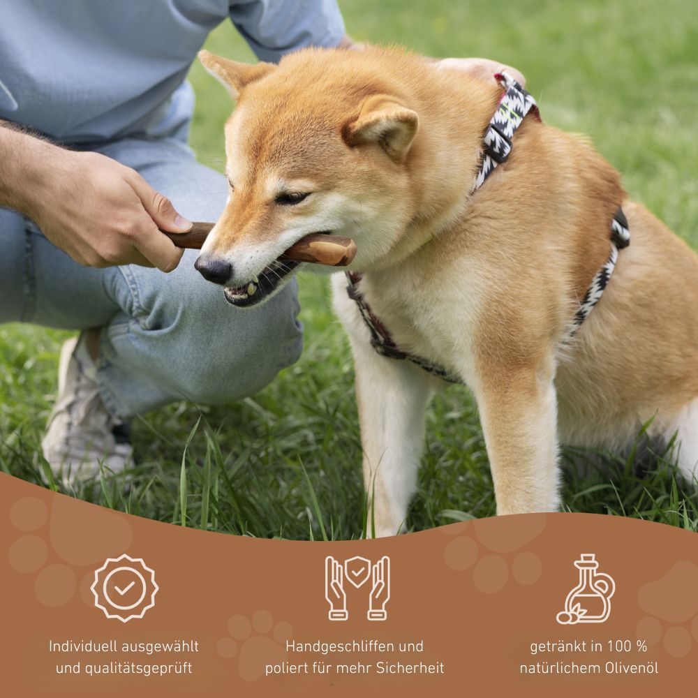 Olivenholz Kaustab-Hundespielzeug-Wildfang-