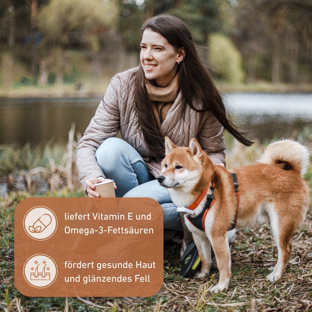 Olivenholz Kaustab-Hundespielzeug-Wildfang-