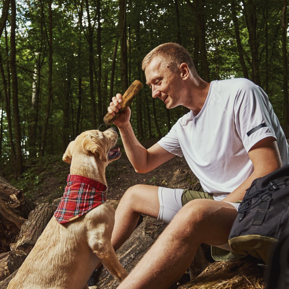 Olivenholz Kaustab-Hundespielzeug-Wildfang-