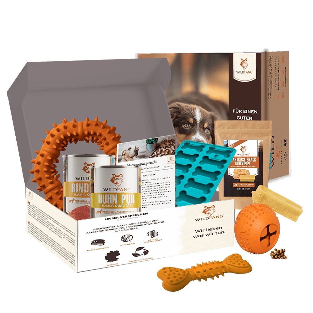 Paket "Zauberbox"-Hundebedarf-Wildfang-