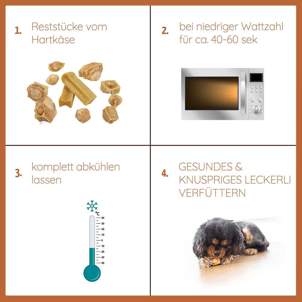 Welpen Paket "Willkommen Puppy"-Hundefutter-Wildfang-