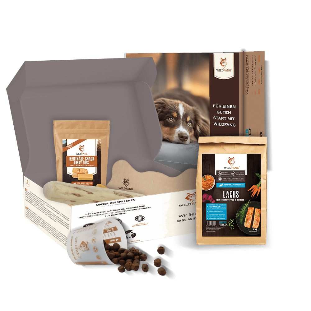 Welpen Paket "Willkommen Puppy"-Hundefutter-Wildfang-