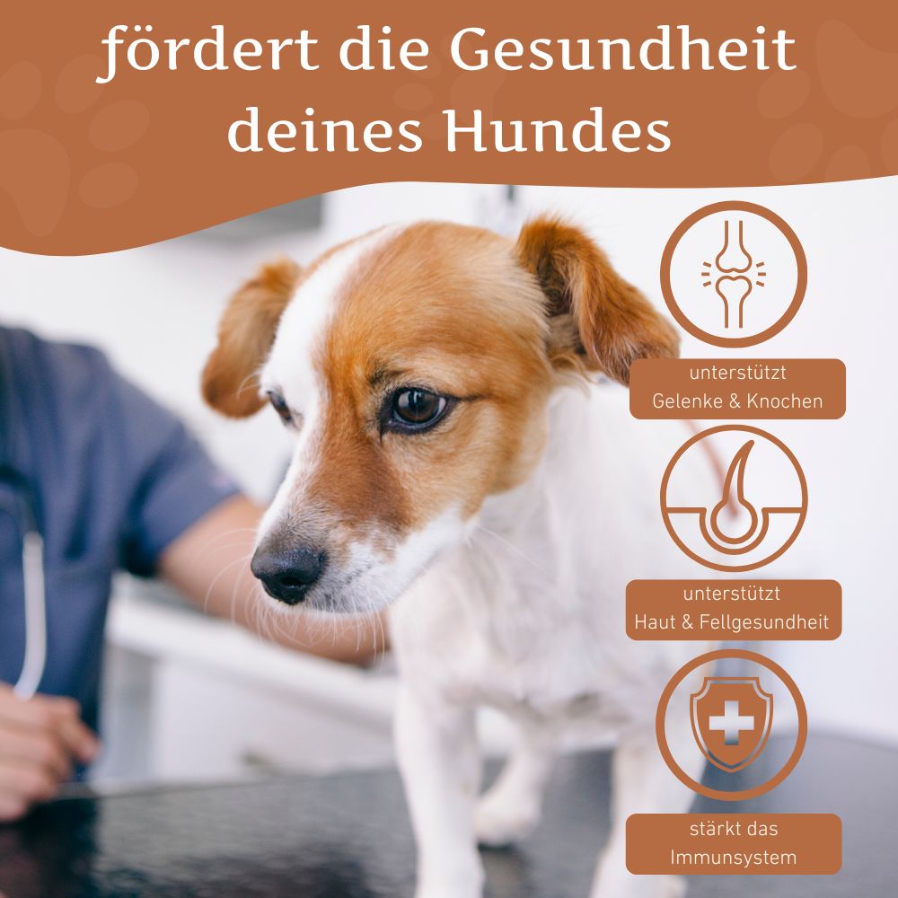 Lachsöl für Hunde - BARF-Öl - 250 ml-Hundefutter-Wildfang Petcare GmbH-